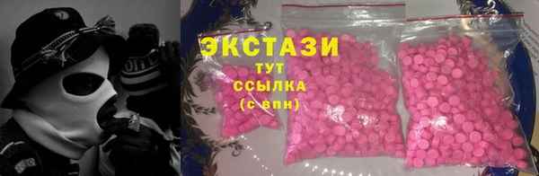 гашик Алексеевка