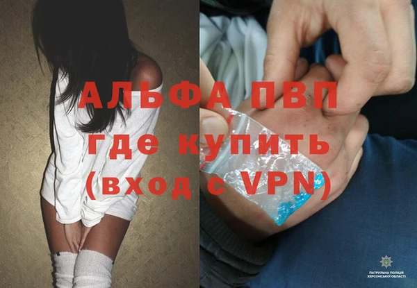 гашик Алексеевка