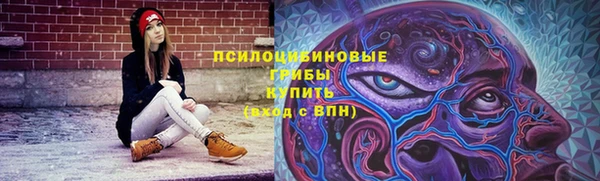 ECSTASY Алексин