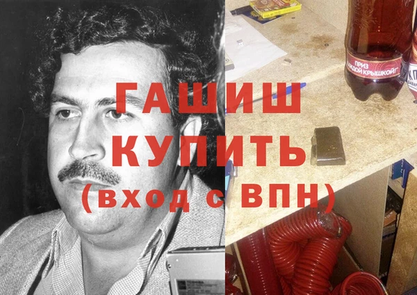 гашик Алексеевка