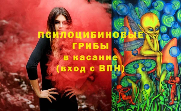 гашик Алексеевка