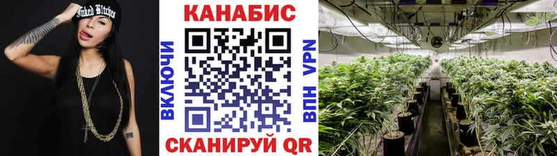 купить закладку  Нолинск  Шишки марихуана конопля 